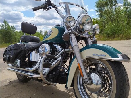 2009 Harley-Davidson Heritage, зелёный, 896882 рублей, вид 3