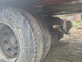 2003 Renault Premium, белый, 2600000 рублей - вид 7