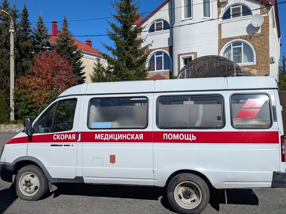 2009 ГАЗ ГАЗель (3221), белый, 430000 рублей - вид 7