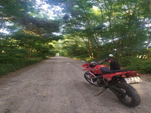 1996 Kawasaki KLR 650, красный, 250000 рублей - вид 4