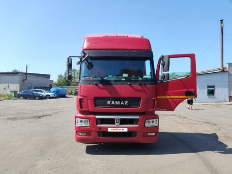 2016 КамАЗ 5490, красный, 2600000 рублей, вид 5