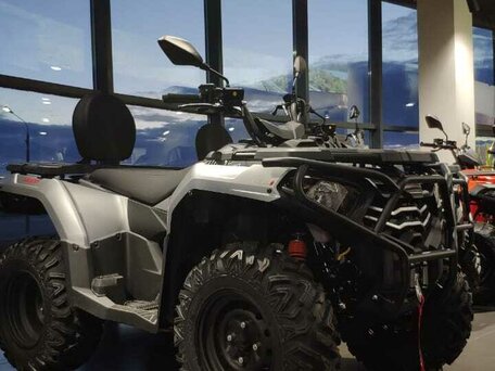 2026 Loncin XWolf 300, серебристый, 485000 рублей, вид 5