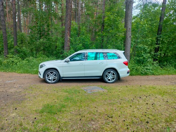 2013 Mercedes-Benz GL-Класс 350 II (X166), белый, 2750000 рублей - вид 16