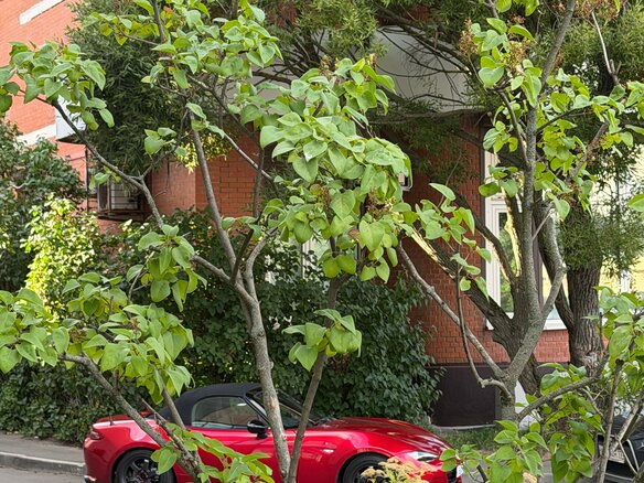 2015 Mazda Roadster IV (ND), красный, 2000000 рублей - вид 13