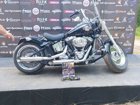 2009 Harley-Davidson Fat Boy, чёрный, 800000 рублей, вид 2