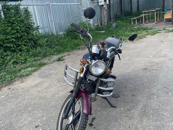 2020 Racer Alpha, красный, 55000 рублей