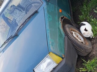 1999 Lada (ВАЗ) 21093i, зелёный, 49000 рублей, вид 4