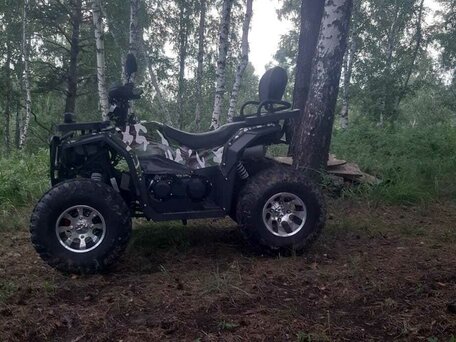2024 Другие ATV (другие), зелёный, 275000 рублей, вид 5