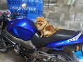 2000 Honda CB 1100, синий, 360000 рублей - вид 10