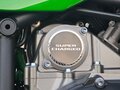 2018 Kawasaki Ninja H2 SX, зелёный, 1450000 рублей - вид 1