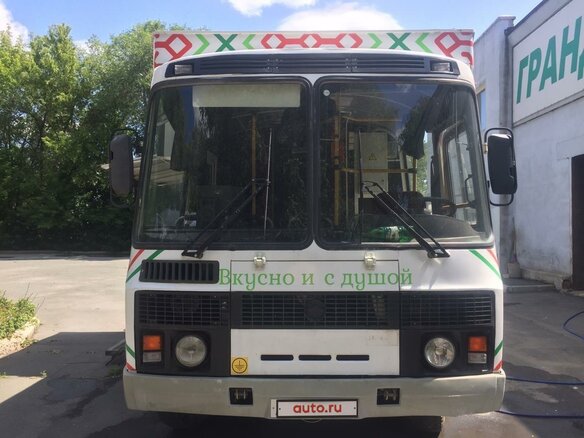 2006 ПАЗ 3205, белый, 1700000 рублей - вид 10