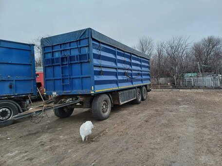 2001 Schmitz Cargobull S01, синий, 1000000 рублей, вид 1