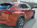 2021 Lexus NX 300 I Рестайлинг, оранжевый, 4850000 рублей - вид 7