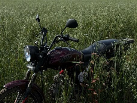2022 Racer Alpha, пурпурный, 45000 рублей, вид 5