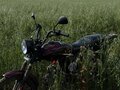 2022 Racer Alpha, пурпурный, 45000 рублей - вид 4