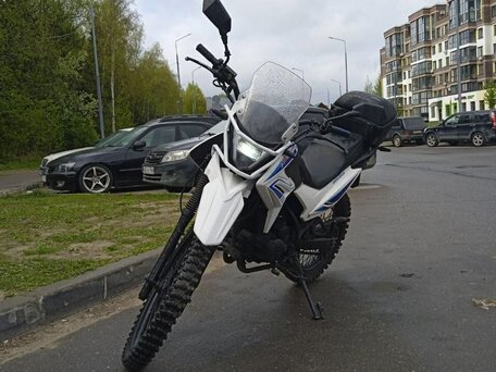 2019 Motoland Enduro 250, белый, 110000 рублей, вид 3