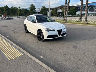 2019 Alfa Romeo Stelvio I, белый, 3350000 рублей, вид 4