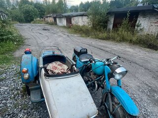 ИЖ Иж-56