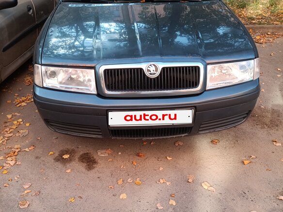 2005 Skoda Octavia I (A4) Рестайлинг, серый, 250000 рублей