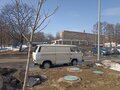 1988 Volkswagen Transporter T3, белый, 255000 рублей - вид 5