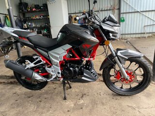 2023 Regulmoto Raptor 250, серый, 120000 рублей, вид 4