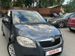 2009 Skoda Fabia II, серый, 680000 рублей, вид 3