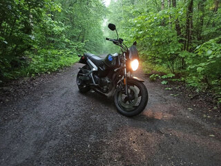 Buell Blast