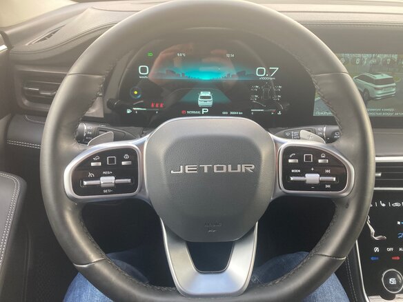 2023 Jetour X90+, серый, 2750000 рублей - вид 10