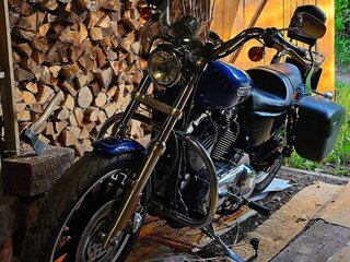 2009 Harley-Davidson Sportster 1200, синий, 600000 рублей, вид 1