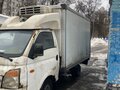 2009 Hyundai Porter II, белый, 650000 рублей - вид 8