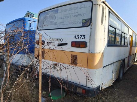 2003 Daewoo BS-106, синий, 450000 рублей, вид 2