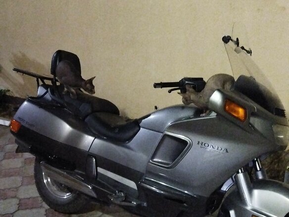 1991 Honda PC 800, серебристый, 330000 рублей - вид 3