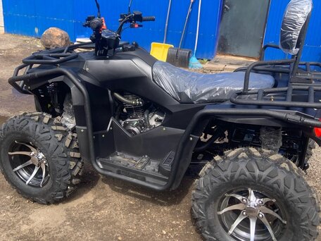 2025 Bashan Explorer 320, чёрный, 355000 рублей, вид 4