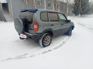2007 Chevrolet Niva I, серый, 250000 рублей, вид 3