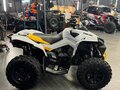 2023 BRP Can-Am Renegade 1000, серый, 2400000 рублей - вид 5