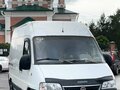 2010 Fiat Professional Ducato, белый, 980000 рублей
