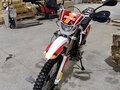 2025 Irbis TTR 250, красный, 105000 рублей - вид 2