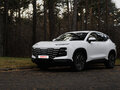 2024 Jetour Dashing I, белый, 2300000 рублей