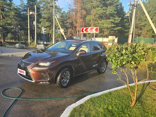 2019 Lexus NX 200 I Рестайлинг, коричневый, 3350000 рублей, вид 1