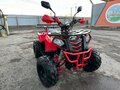 2021 Mowgli Dux 8, красный, 85000 рублей