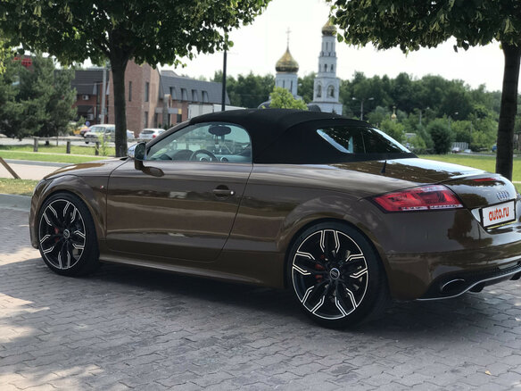 2009 Audi TTS II (8J), коричневый - вид 13