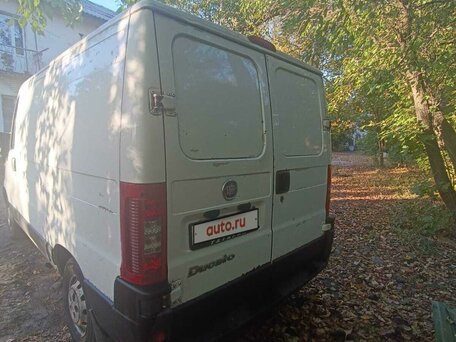 2010 Fiat Professional Ducato, белый, 790000 рублей, вид 4