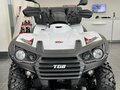 2022 TGB Blade 500, белый