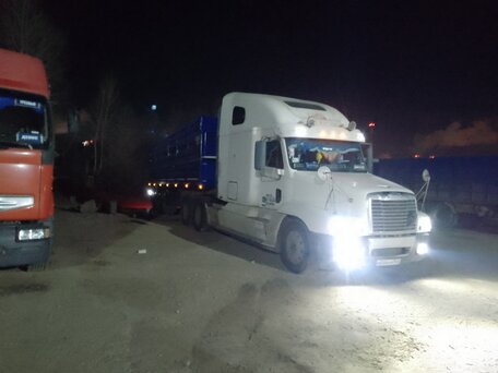 2003 Freightliner Century Class, белый, 1500000 рублей, вид 2