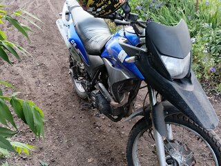 2018 Irbis XR 250, синий, 90000 рублей, вид 2