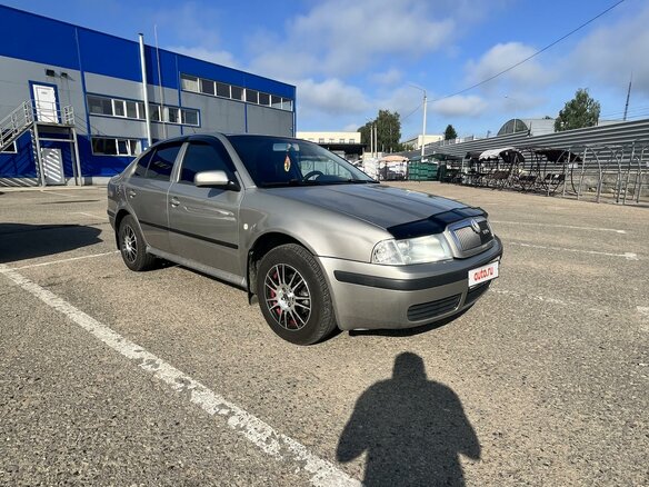 2007 Skoda Octavia I (A4) Рестайлинг, серый, 465000 рублей - вид 2