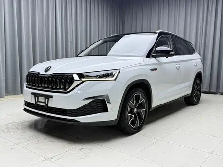 Skoda Kamiq I Рестайлинг