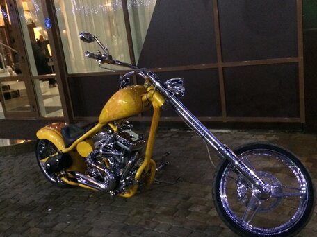2005 Harley-Davidson Softail Custom, жёлтый, 1500000 рублей, вид 1