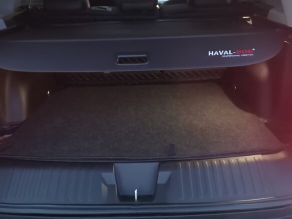 2023 Haval DaGou (Big Dog) I Рестайлинг, серый, 4100000 рублей - вид 8