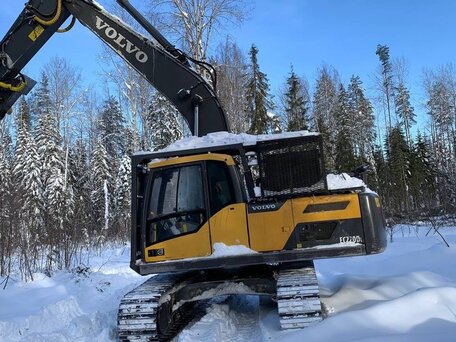2014 Volvo EC220DL, 10500000 рублей, вид 2